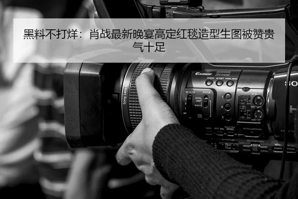 黑料不打烊：肖战最新晚宴高定红毯造型生图被赞贵气十足